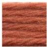Sullivans Tapestry Wool, Anc/8258 Dmc/7124- 8m