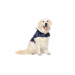 Burda X06049 Undefined Pet -Sewing Supplies Store 6049 01