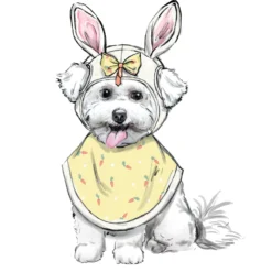 Simplicity Sewing Pattern S9497 Pet Accessories 12 Simplicity Sewing Pattern S9497 Pet Accessories -Sewing Supplies Store S9497 product hires 01 scaled