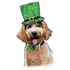 Simplicity Sewing Pattern S9497 Pet Accessories 15 Simplicity Sewing Pattern S9497 Pet Accessories -Sewing Supplies Store S9497 product hires 04 scaled