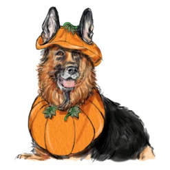 Simplicity Sewing Pattern S9497 Pet Accessories 17 Simplicity Sewing Pattern S9497 Pet Accessories -Sewing Supplies Store S9497 product hires 06 scaled