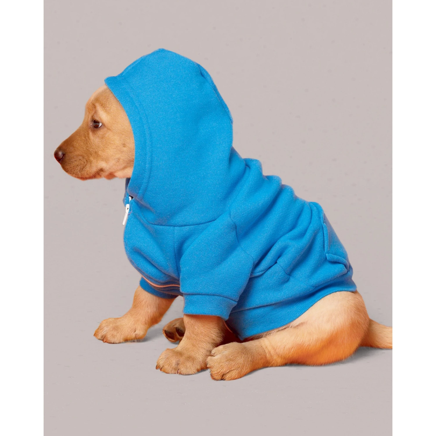 Simplicity SS9532 Pet Clothes 4 Simplicity SS9532 Pet Clothes - Image 4
