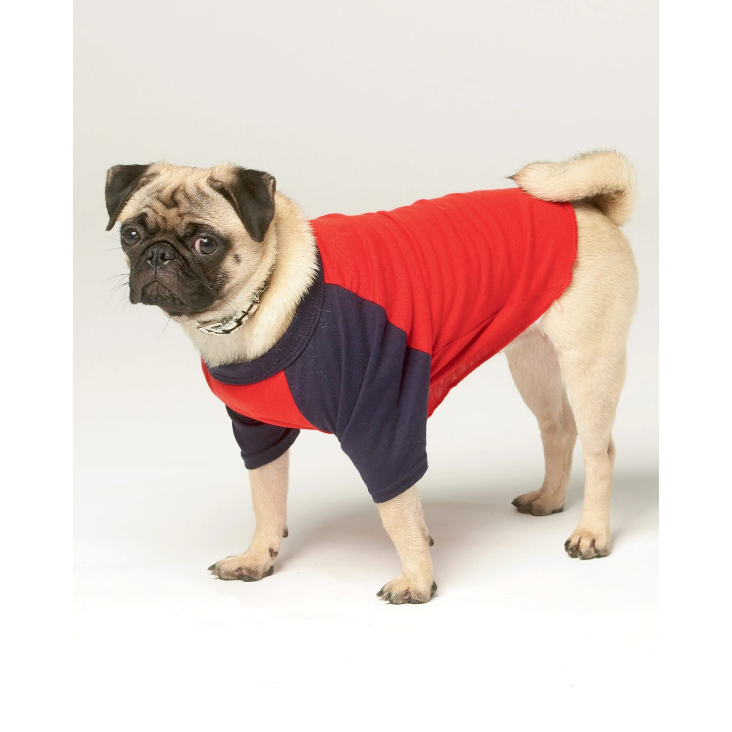 Simplicity SS9532 Pet Clothes 2 Simplicity SS9532 Pet Clothes - Image 2