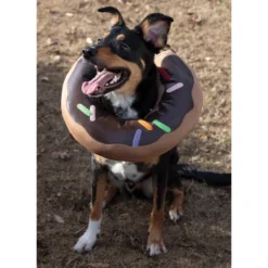 Simplicity Pattern SS9582 Pet Elizabethan Collars By Carla Reiss -Sewing Supplies Store S9582 product hires 01 scaled