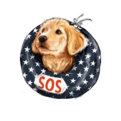 Simplicity Pattern SS9582 Pet Elizabethan Collars By Carla Reiss -Sewing Supplies Store S9582 product hires 04 scaled