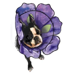 Simplicity Pattern SS9582 Pet Elizabethan Collars By Carla Reiss -Sewing Supplies Store S9582 product hires 05 scaled