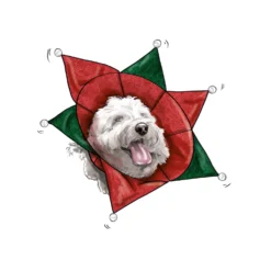 Simplicity Pattern SS9582 Pet Elizabethan Collars By Carla Reiss -Sewing Supplies Store S9582 product hires 06 scaled