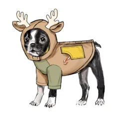 Simplicity Pattern 9663 Undefined Pet -Sewing Supplies Store S9663 product hires 03 scaled